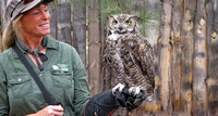 George the Owl with Handler